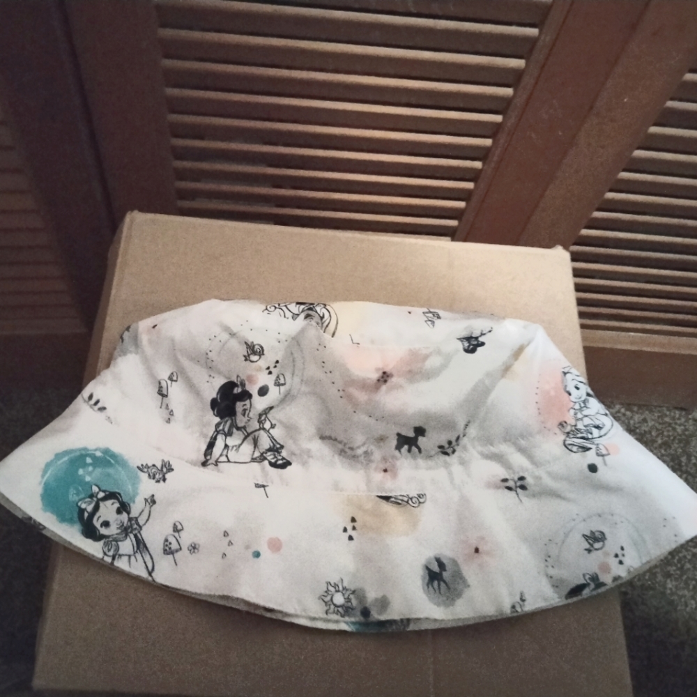 Disney Princesses Rain Hat (Girls)